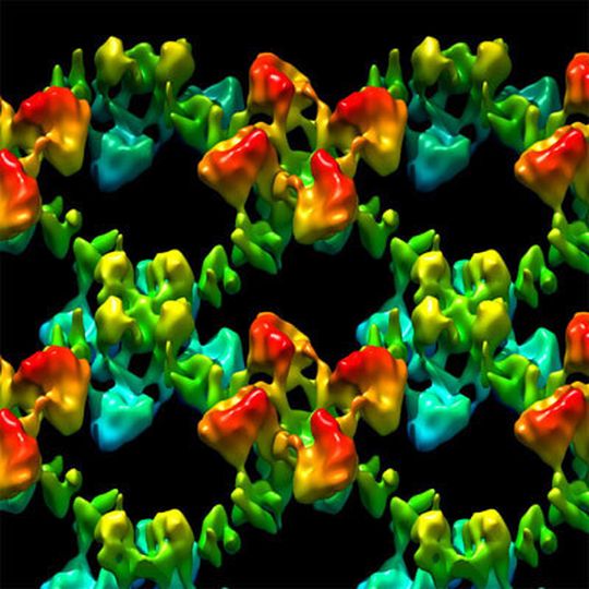 3D-Modell von mehreren nebeneinander angeordneten HCN-Kaliumkanälen. 3D-Modell von mehreren nebeneinander angeordneten HCN-Kaliumkanälen.