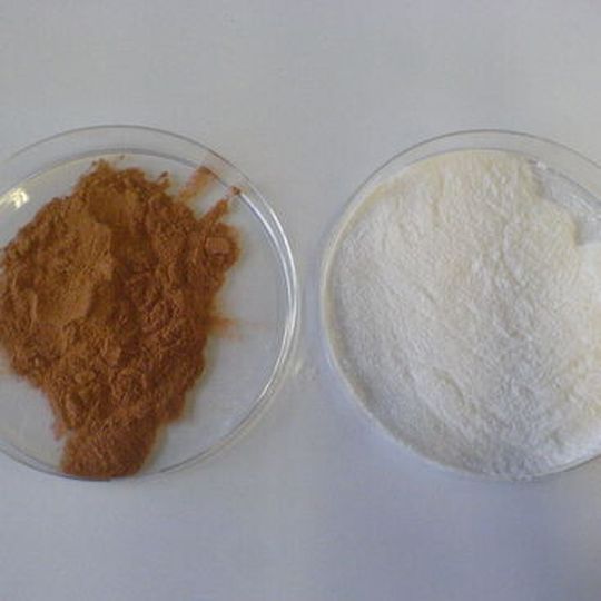 Die nachwachsenden Rohstoffe Lignin (braun) und Zellulose (weiß). Die nachwachsenden Rohstoffe Lignin (braun) und Zellulose (weiß).