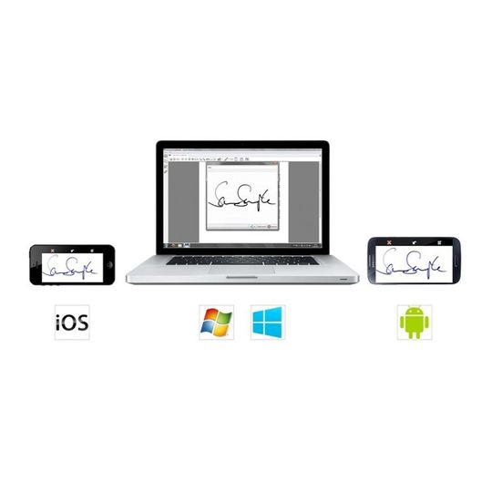 Durch den Wegfall von Papier lassen sich Kosten senken, Geschäftsprozesse beschleunigen, Fehlerquellen eliminieren, Ressourcen schonen und die Umwelt schützen.