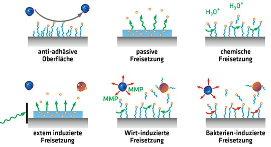 Biofilm reduzierende Plattformen: aktive und passive Strategien im Überblick. Biofilm reduzierende Plattformen: aktive und passive Strategien im Überblick.