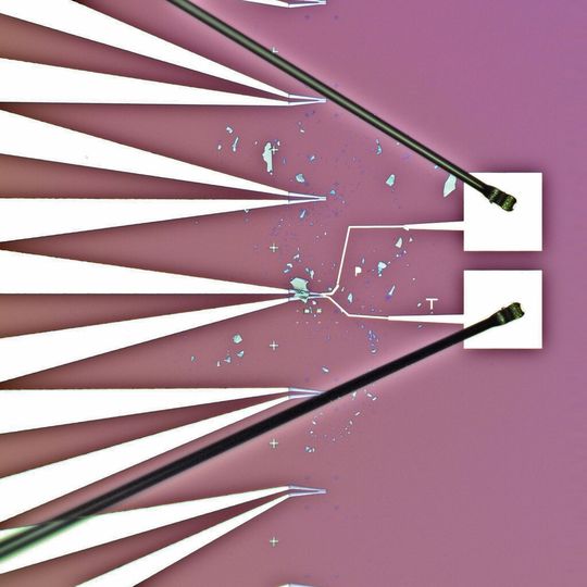Mikroskopbild von WSe2-Proben, mit Elektroden-Anschluss Mikroskopbild von WSe2-Proben, mit Elektroden-Anschluss