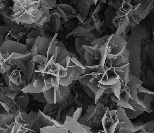 „Mikro-Blumen“ aus PPPI, dem mechanisch stabilsten organischen Polymer der Welt. Die hochkristallinen Blumen haben einen Durchmesser von etwa fünf Mikrometern. „Mikro-Blumen“ aus PPPI, dem mechanisch stabilsten organischen Polymer der Welt. Die hochkristallinen Blumen haben einen Durchmesser von etwa fünf Mikrometern.