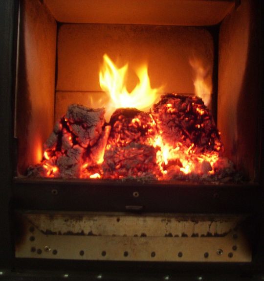 Briketts werden derzeit unter anderem aus hochwertigem Waldholz gepresst. Grünschnitt-Briketts stellen eine ressourcenschonende Alternative dar.