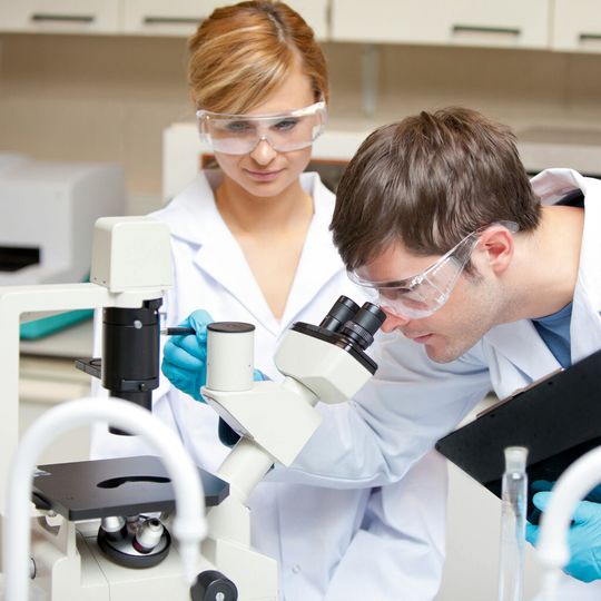 Abb. 1: An Praktikumsarbeitsplätzen in universitären Einrichtungen macht es Sinn, jeder Forschungsgruppe ein eigenes kleines Chemikaliendepot direkt am Arbeitsplatz einzurichten. Abb. 1: An Praktikumsarbeitsplätzen in universitären Einrichtungen macht es Sinn, jeder Forschungsgruppe ein eigenes kleines Chemikaliendepot direkt am Arbeitsplatz einzurichten.