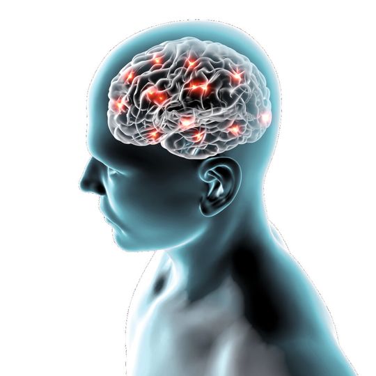 Synapsen: Die Verschaltungen im Gehirn entwickeln sich so, wie das Gehirn benutzt wird. Neue Verschaltungen sind bis ins hohe Alter möglich.