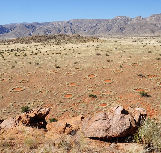 Blick auf die mysteriösen Feenkreise in Namibia. Die geheimnisvollen, kahlen Flecken im Grasland kommen zu Millionen im Übergang zur Namib-Wüste vor. Blick auf die mysteriösen Feenkreise in Namibia. Die geheimnisvollen, kahlen Flecken im Grasland kommen zu Millionen im Übergang zur Namib-Wüste vor.