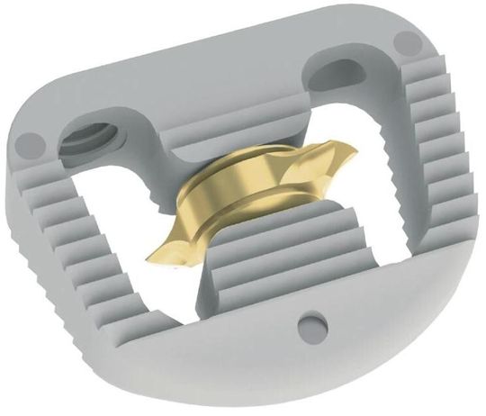 LorX Cervical PEEK Cage mit Flügeln