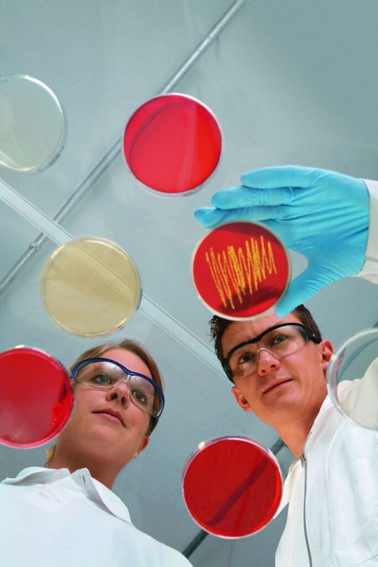 Qualitätskontrolle in der biotechnischen Prozessentwicklung des Pharmaunternehmens Boehringer Ingelheim in Biberach. Qualitätskontrolle in der biotechnischen Prozessentwicklung des Pharmaunternehmens Boehringer Ingelheim in Biberach.