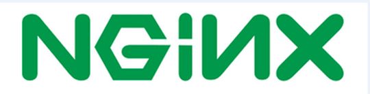 Das offizielle Logo von NGINX