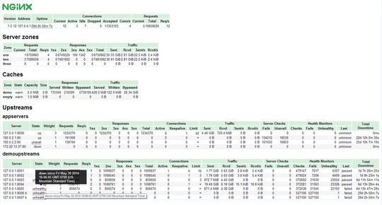 Echtzeit-Überwachung von Upstream-Verbindungen bei der Lastverteilung mit NGINX Plus.