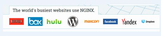 Zu den bekanntesten Benutzern von NGINX zählen neben Facebook zwei führende Anbieter von Cloud-Speicher, Box und Dropbox, sowie die Video-Dienste Netflix und hulu.