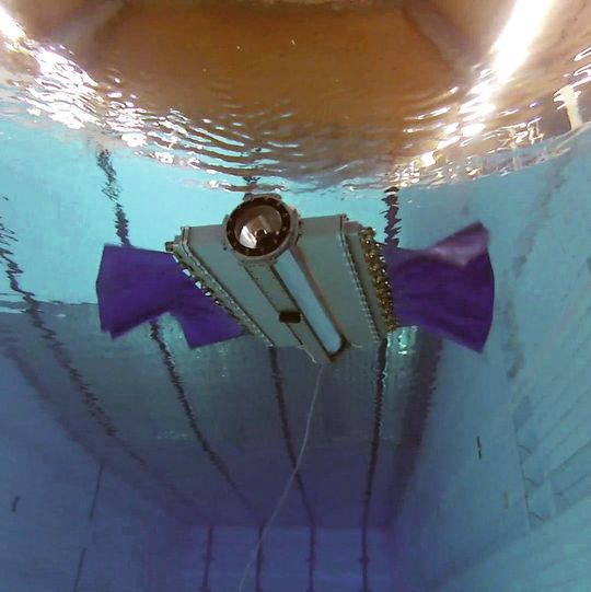 Testversuch an der ETH Zürich: Sepios treibt sich durch den Pool. Testversuch an der ETH Zürich: Sepios treibt sich durch den Pool.