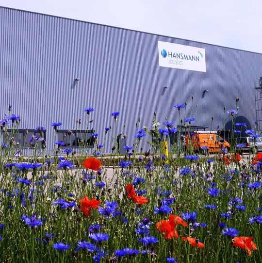 In Flechtorf bei Wolfsburg baut der Automobilzulieferer Hansmann sein neues Logistikzentrum – rund 50 Arbeitsplätze sollen dort entstehen. In Flechtorf bei Wolfsburg baut der Automobilzulieferer Hansmann sein neues Logistikzentrum – rund 50 Arbeitsplätze sollen dort entstehen.