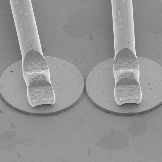 Elektronenmikroskopische Aufnahme der gekoppelten Quantenkaskadenlaser. Durch die beiden Drähte wird den Lasern die nötige Energie zugeführt. Elektronenmikroskopische Aufnahme der gekoppelten Quantenkaskadenlaser. Durch die beiden Drähte wird den Lasern die nötige Energie zugeführt.