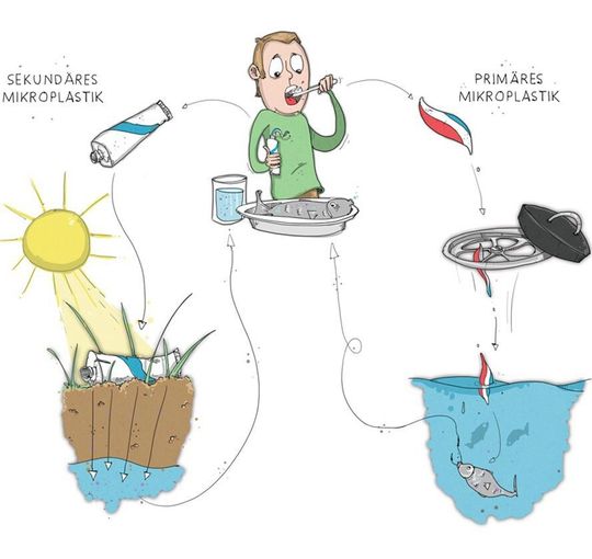 Der Weg von primärem und sekundärem Mikroplastik in unserer Nahrungskette. Der Weg von primärem und sekundärem Mikroplastik in unserer Nahrungskette.