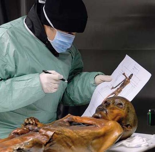 Der "Mann aus dem Eis" gehört zu den bekanntesten und bedeutendsten Mumien der Welt. Der "Mann aus dem Eis" gehört zu den bekanntesten und bedeutendsten Mumien der Welt.