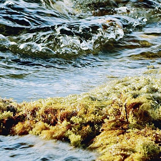 Meere und Ozeane sind der größte Wasserspeicher der Erde. Ihr Wasser wird bereits seit Jahrzehnten durch Entsalzen in großem Umfang trinkbar gemacht.
