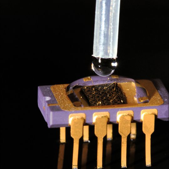 Abb. 1: Der On-Chip Sensor für Flüssigkeiten: Ein Tropfen der Flüssigkeit genügt, um die Zusammensetzung zu bestimmen. Abb. 1: Der On-Chip Sensor für Flüssigkeiten: Ein Tropfen der Flüssigkeit genügt, um die Zusammensetzung zu bestimmen.