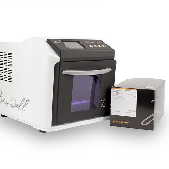 Das Maxwell 16 LEV RNA FFPE Kit ermöglicht automatisierte Aufreinigung von Nukleinsäuren aus FFPE-Schnitten Das Maxwell 16 LEV RNA FFPE Kit ermöglicht automatisierte Aufreinigung von Nukleinsäuren aus FFPE-Schnitten