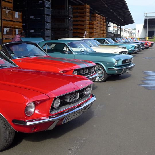 Der Ford Mustang belegt unter den beliebtesten Autos der Deutschen Rang fünf. Der Ford Mustang belegt unter den beliebtesten Autos der Deutschen Rang fünf.