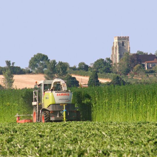 Aus Hanf können leistungsfähige Naturfasern gewonnen werden, die sich als leichte Verstärkungsalternative für Glas in viele Thermoplast- oder Duromermatrizes einarbeiten lassen. Aus Hanf können leistungsfähige Naturfasern gewonnen werden, die sich als leichte Verstärkungsalternative für Glas in viele Thermoplast- oder Duromermatrizes einarbeiten lassen.