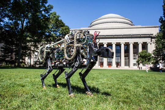 Der cheetah bot auf dem Rasen des MIT Der cheetah bot auf dem Rasen des MIT