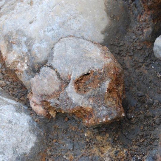 Der Schädel von Motala1, eines ungefähr 8.000 Jahre alten schwedischen Jägers und Sammlers, dessen DNA in dieser Studie untersucht wurde. Der Schädel von Motala1, eines ungefähr 8.000 Jahre alten schwedischen Jägers und Sammlers, dessen DNA in dieser Studie untersucht wurde.