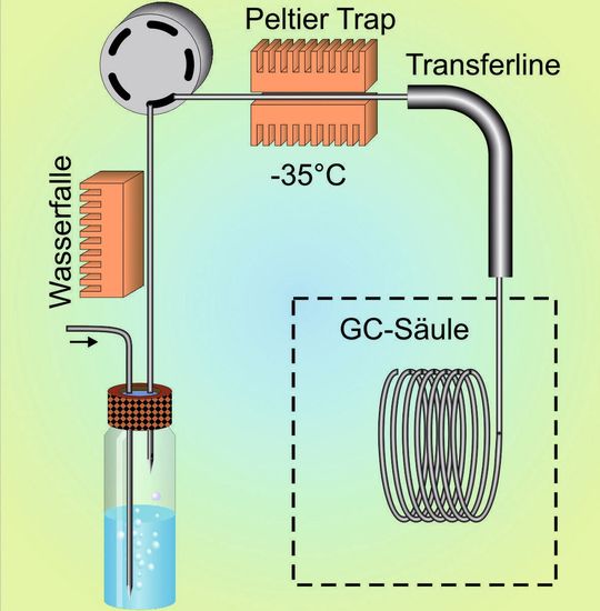 Abb. 1: Schematischer Aufbau bei der „in-vial-Purge“-Technik Abb. 1: Schematischer Aufbau bei der „in-vial-Purge“-Technik