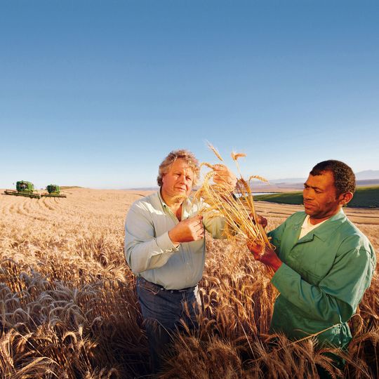 Venture into a 100 billion Euro market: Bayer Crop Science, one of Bayer's remaining businesses after the materials spin-off, plans heavy investments in R&D and production to untap the potential of global agrochemical markets. Venture into a 100 billion Euro market: Bayer Crop Science, one of Bayer's remaining businesses after the materials spin-off, plans heavy investments in R&D and production to untap the potential of global agrochemical markets.