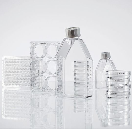 Die Zellkultur-Consumables von Eppendorf bestehen aus ultraklarem, fabrikneuem Polystyrol. Die Zellkultur-Consumables von Eppendorf bestehen aus ultraklarem, fabrikneuem Polystyrol.