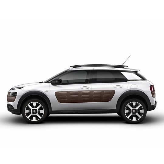 Borealis verwendet beim neuen Citroën C4 Cactus die tigerstreifenfreien Daplen Materialien. Borealis verwendet beim neuen Citroën C4 Cactus die tigerstreifenfreien Daplen Materialien.