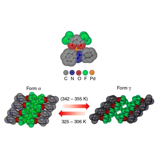 Kristalline Sprungkraft: Im Molekül PHA gruppieren sich jeweils ein fluor-(F)- und ein sauerstoff-(O)-haltiger sowie ein stickstoff-(N)-haltiger organischer Molekülteil um ein zentrales Palladium-(Pd)-Atom (oben). Das Molekül kristallisiert in verschiedenen Formen. Wenn es bei 342 bis 355 Kelvin (K) – das sind 69 bis 82 Grad Celsius – von der α- in die γ-Form wechselt, dehnt sich der Kristall schnell und stark aus, sodass er von der Unterlage hüpft. Kristalline Sprungkraft: Im Molekül PHA gruppieren sich jeweils ein fluor-(F)- und ein sauerstoff-(O)-haltiger sowie ein stickstoff-(N)-haltiger organischer Molekülteil um ein zentrales Palladium-(Pd)-Atom (oben). Das Molekül kristallisiert in verschiedenen Formen. Wenn es bei 342 bis 355 Kelvin (K) – das sind 69 bis 82 Grad Celsius – von der α- in die γ-Form wechselt, dehnt sich der Kristall schnell und stark aus, sodass er von der Unterlage hüpft.