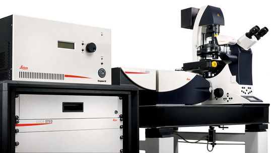 Das höchstauflösende Mikroskopiesystem Leica TCS SP8 STED 3X. Das höchstauflösende Mikroskopiesystem Leica TCS SP8 STED 3X.