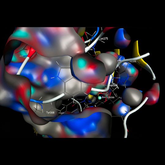 Seitliche Ansicht des aktiven Zentrums einer bakteriellen Glutaminyl-Zyklase, dem Auslöser vieler bakterieller Infektionen. Seitliche Ansicht des aktiven Zentrums einer bakteriellen Glutaminyl-Zyklase, dem Auslöser vieler bakterieller Infektionen.