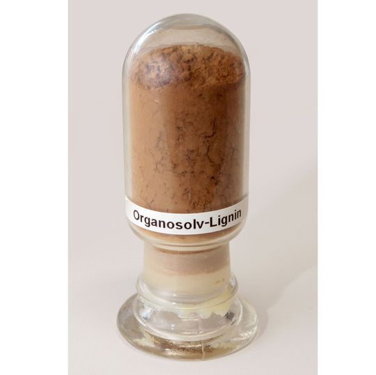 Ein Vorteil des Organosolv-Verfahrens ist, dass alle Holzbestandteile in Reinform gewonnen werden können. Ein Vorteil des Organosolv-Verfahrens ist, dass alle Holzbestandteile in Reinform gewonnen werden können.