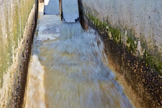 Die für die Ableitung und Reinigung des Abwassers zuständigen Technischen Betriebe Wilhelmshaven optimieren ihre Anlagen kontinuierlich. Im Rahmen der Modernisierung des Klärwerks wurden vier Nachklärbecken, der Sandfang sowie Pumpstationen und Faultürme mit Funksystemen ausgestattet, um die Signale und Daten wirtschaftlich an die Leitzentrale zu übertragen. Die für die Ableitung und Reinigung des Abwassers zuständigen Technischen Betriebe Wilhelmshaven optimieren ihre Anlagen kontinuierlich. Im Rahmen der Modernisierung des Klärwerks wurden vier Nachklärbecken, der Sandfang sowie Pumpstationen und Faultürme mit Funksystemen ausgestattet, um die Signale und Daten wirtschaftlich an die Leitzentrale zu übertragen.