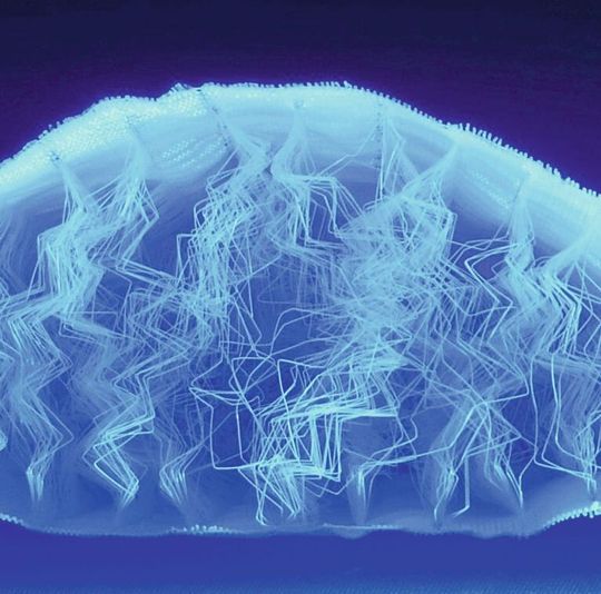 Was hier anmutet wie ein Ausschnitt eines Geschöpfs der Tiefsee, ist in Wirklichkeit ein hilfreiches Element für die einfachere Herstellung von Compositebauteilen.