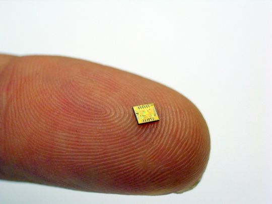 Der Mikrochip zur elektrochemischen Markerdetektion.