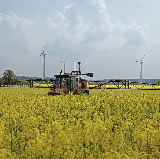 Abb. 1a: Seit September 2012 ist die EU-Verordnung 225/2012 in Kraft, die u.a. verschärfte Untersuchungspflichten für Futterfette auf Dioxine und dioxinähnliche PCB vorsieht. ... Abb. 1a: Seit September 2012 ist die EU-Verordnung 225/2012 in Kraft, die u.a. verschärfte Untersuchungspflichten für Futterfette auf Dioxine und dioxinähnliche PCB vorsieht. ...