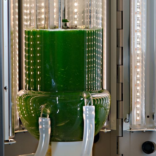 Nahaufnahme des LED-Bioreaktors Nahaufnahme des LED-Bioreaktors