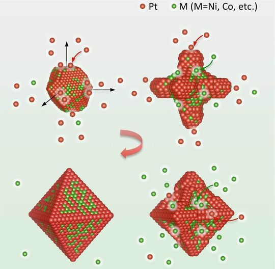 Das Rätsel des Wachstumsmechanismus von Platonischen Katalysatoren ist gelüftet: Oktaedrische Platin-Nickel-Nanopartikel werden in Form von Kub-Oktaedern geboren (oben links). An diese lagern sich die Platin-Atome (rot) bevorzugt an und bilden sechsarmige „Hexapods“ (oben rechts). Zwischen den Platin-Atomen (unten rechts) wiederum lagern sich die Nickel-Atome (grün) bevorzugt an und vervollständigen so das Oktaederpartikel (unten links). Das Rätsel des Wachstumsmechanismus von Platonischen Katalysatoren ist gelüftet: Oktaedrische Platin-Nickel-Nanopartikel werden in Form von Kub-Oktaedern geboren (oben links). An diese lagern sich die Platin-Atome (rot) bevorzugt an und bilden sechsarmige „Hexapods“ (oben rechts). Zwischen den Platin-Atomen (unten rechts) wiederum lagern sich die Nickel-Atome (grün) bevorzugt an und vervollständigen so das Oktaederpartikel (unten links).