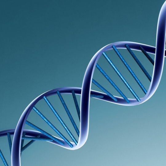 Jede Körperzelle eines Organismus enthält im Erbmolekül DNA ein identisches genetisches Inventar. Jede Körperzelle eines Organismus enthält im Erbmolekül DNA ein identisches genetisches Inventar.