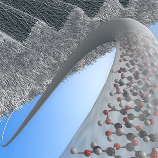 Eine Beschichtung aus mikrostrukturierter Zellulose - wie der dargestellten Schicht mit Linienraster - könnte Implantate verträglicher machen. (Ausschnitt) Eine Beschichtung aus mikrostrukturierter Zellulose - wie der dargestellten Schicht mit Linienraster - könnte Implantate verträglicher machen. (Ausschnitt)