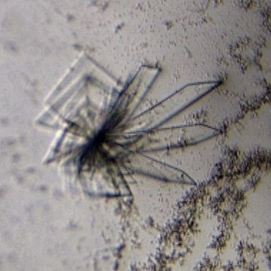 Bild eines Kristalls, das aus einer Transfer-RNA und dem Enzym besteht, das die CCA-Etiketten an die Transfer-RNAs anhängt. Bild eines Kristalls, das aus einer Transfer-RNA und dem Enzym besteht, das die CCA-Etiketten an die Transfer-RNAs anhängt.