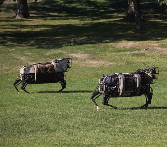 BigDog ist ein dynamisch stabiler vierbeiniger Laufroboter, der von dem Robotik-Spezialisten Boston Dynamics im Auftrag der DARPA entwickelt wurde. (Klicken zum vergrößern) BigDog ist ein dynamisch stabiler vierbeiniger Laufroboter, der von dem Robotik-Spezialisten Boston Dynamics im Auftrag der DARPA entwickelt wurde. (Klicken zum vergrößern)