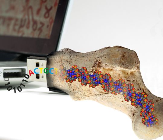 Um unser digitales Wissen für die Ewigkeit zu bewahren, liessen sich ETH-Forscher von Fossilien inspirieren. Um unser digitales Wissen für die Ewigkeit zu bewahren, liessen sich ETH-Forscher von Fossilien inspirieren.