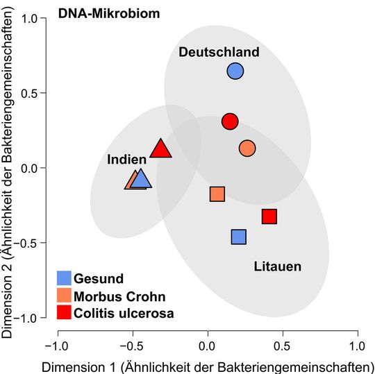 Das Mikrobiom von Menschen aus Deutschland, Indien und Litauen variiert erheblich. Dabei existieren geografische Unterschiede, aber auch die Bakterienzusammensetzung zwischen Gesunden und CED Betroffenen unterscheidet sich innerhalb sowie zwischen den Ländern. Das Mikrobiom von Menschen aus Deutschland, Indien und Litauen variiert erheblich. Dabei existieren geografische Unterschiede, aber auch die Bakterienzusammensetzung zwischen Gesunden und CED Betroffenen unterscheidet sich innerhalb sowie zwischen den Ländern.