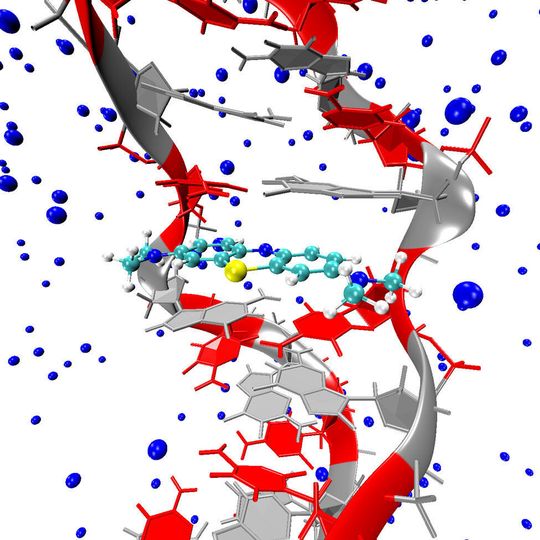 Dem Team um Juan J. Nogueira, Markus Oppel und Leticia González ist es gelungen, den Mechanismus der Singlettsauerstofferzeugung von Methylenblau, eingebettet in den DNA-Strang, aufzuklären. Dem Team um Juan J. Nogueira, Markus Oppel und Leticia González ist es gelungen, den Mechanismus der Singlettsauerstofferzeugung von Methylenblau, eingebettet in den DNA-Strang, aufzuklären.