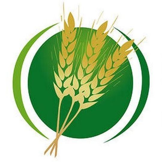 Cronus Fertilizers has concluded a $1.5 billion EPC contract for the construction of a fertilizer plant. Cronus Fertilizers has concluded a $1.5 billion EPC contract for the construction of a fertilizer plant.