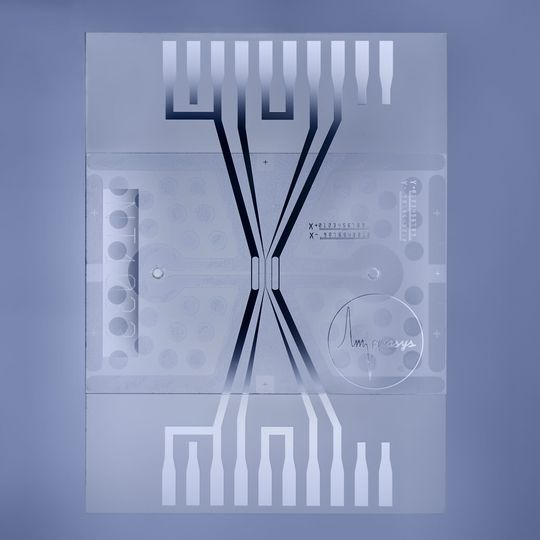 Mikrofluidikchip zur Zellanalyse